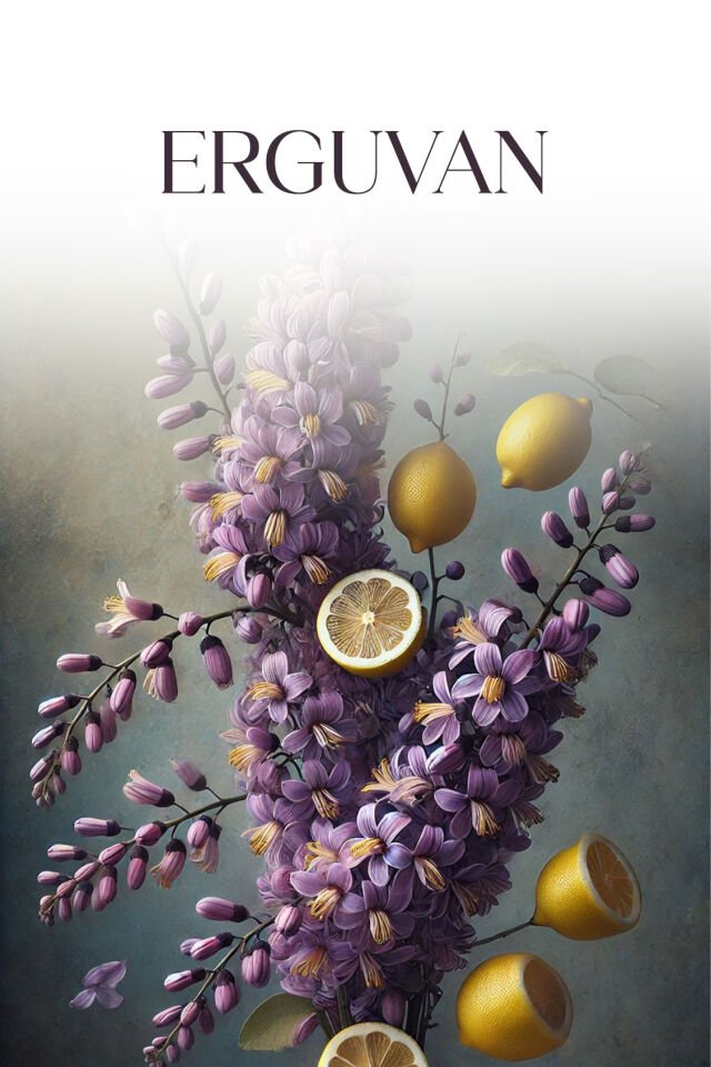 ERGUVAN KOKULANDIRMA KARTUSU
