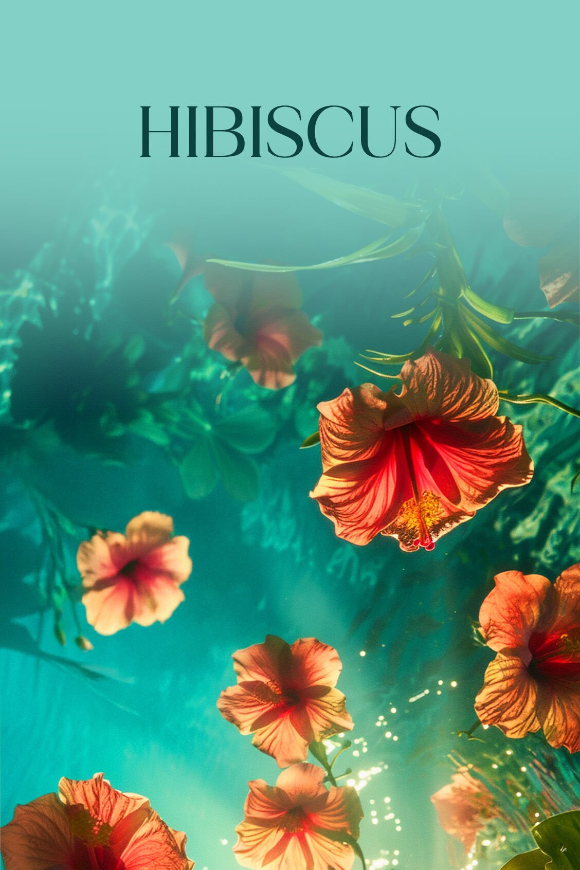 HIBUSCUS KOKULANDIRMA KARTUSU