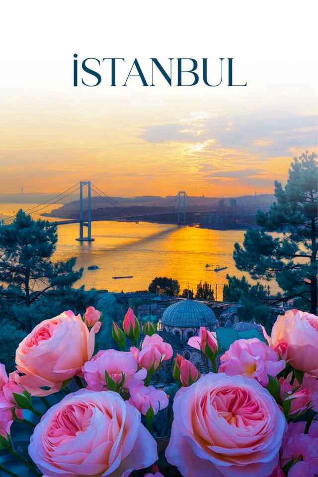ISTANBUL KOKULANDIRMA KARTUSU